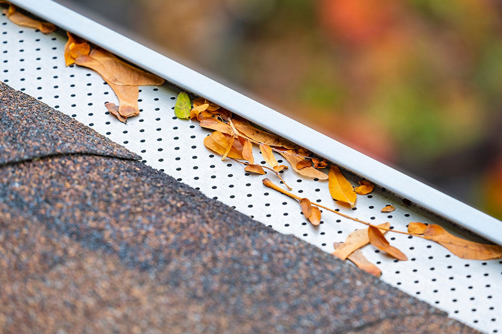 4 best gutter guards to install in your home