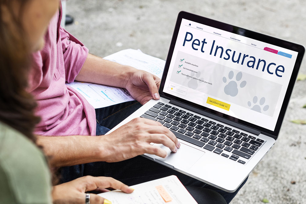 6 common mistakes to avoid while buying pet insurance