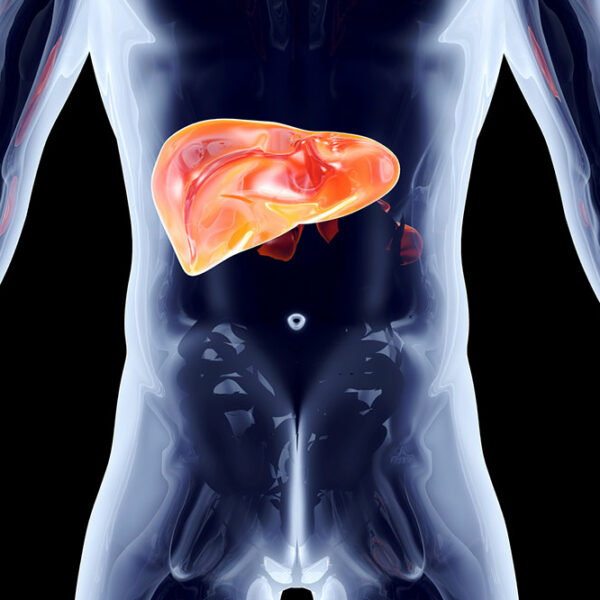 8 lesser-known facts about the liver