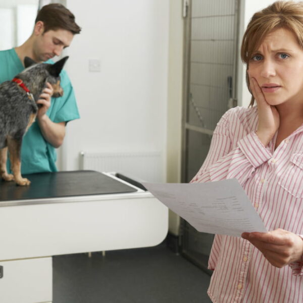 10 tips to save money on veterinary bills