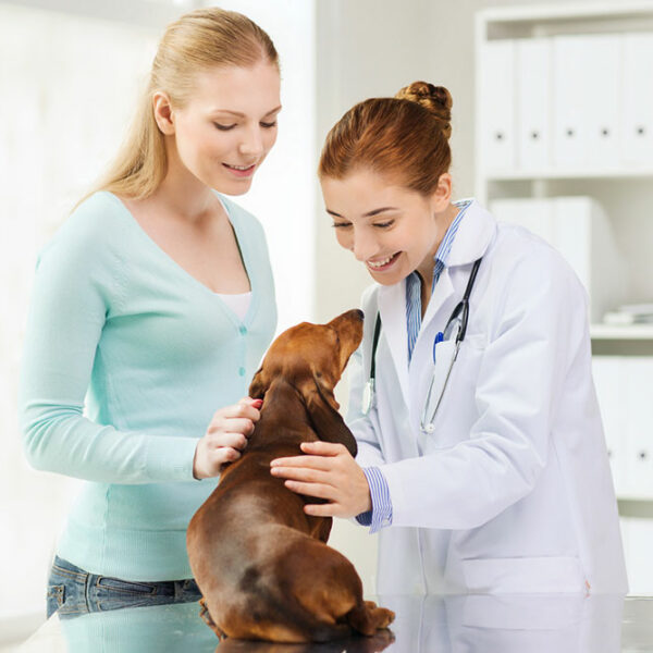 4 pet care mistakes to avoid